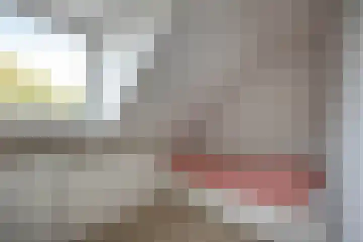 Sloetsweg 54 Hengelo thumbnail 28