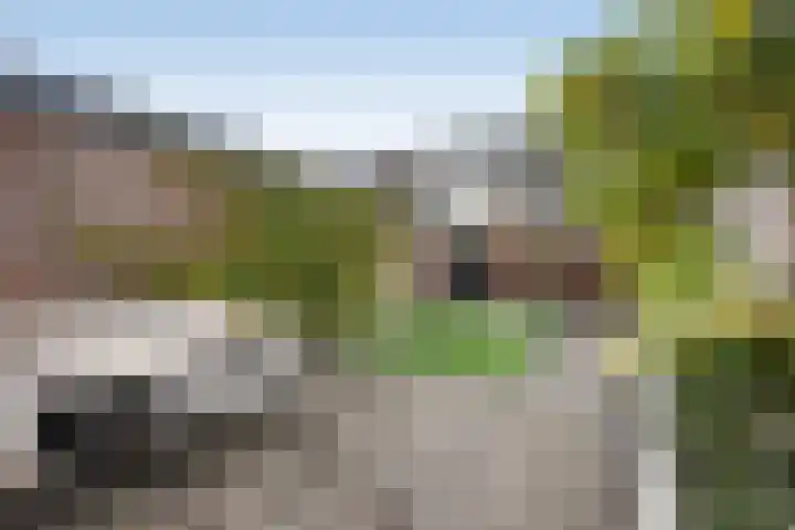 Sloetsweg 54 Hengelo thumbnail 32