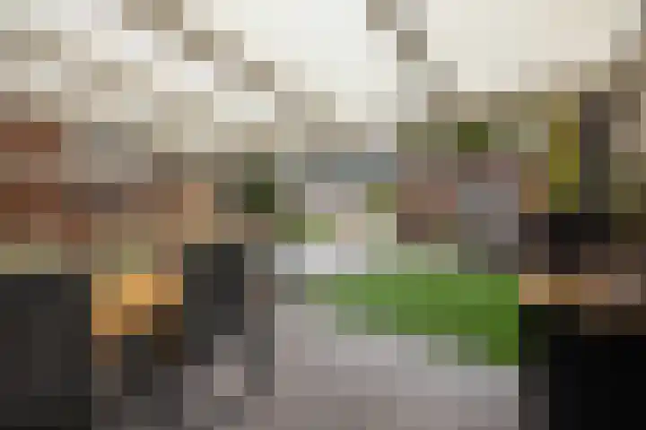 Sloetsweg 54 Hengelo thumbnail 33