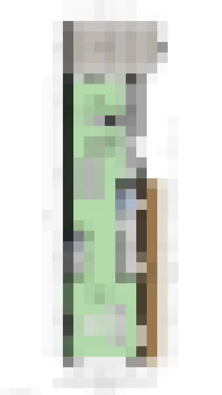 Sloetsweg 54 Hengelo thumbnail 38