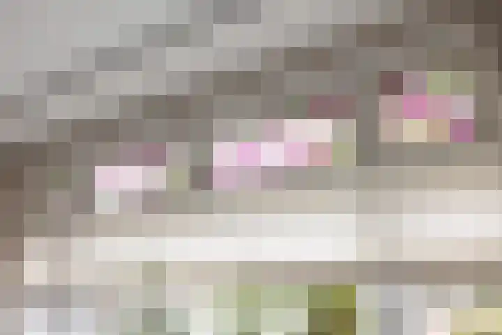Sloetsweg 54 Hengelo thumbnail 5