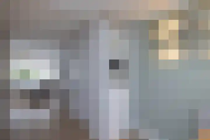 Sloetsweg 54 Hengelo thumbnail 7