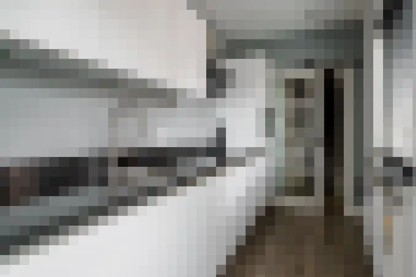 Sloetsweg 83 Hengelo thumbnail 12