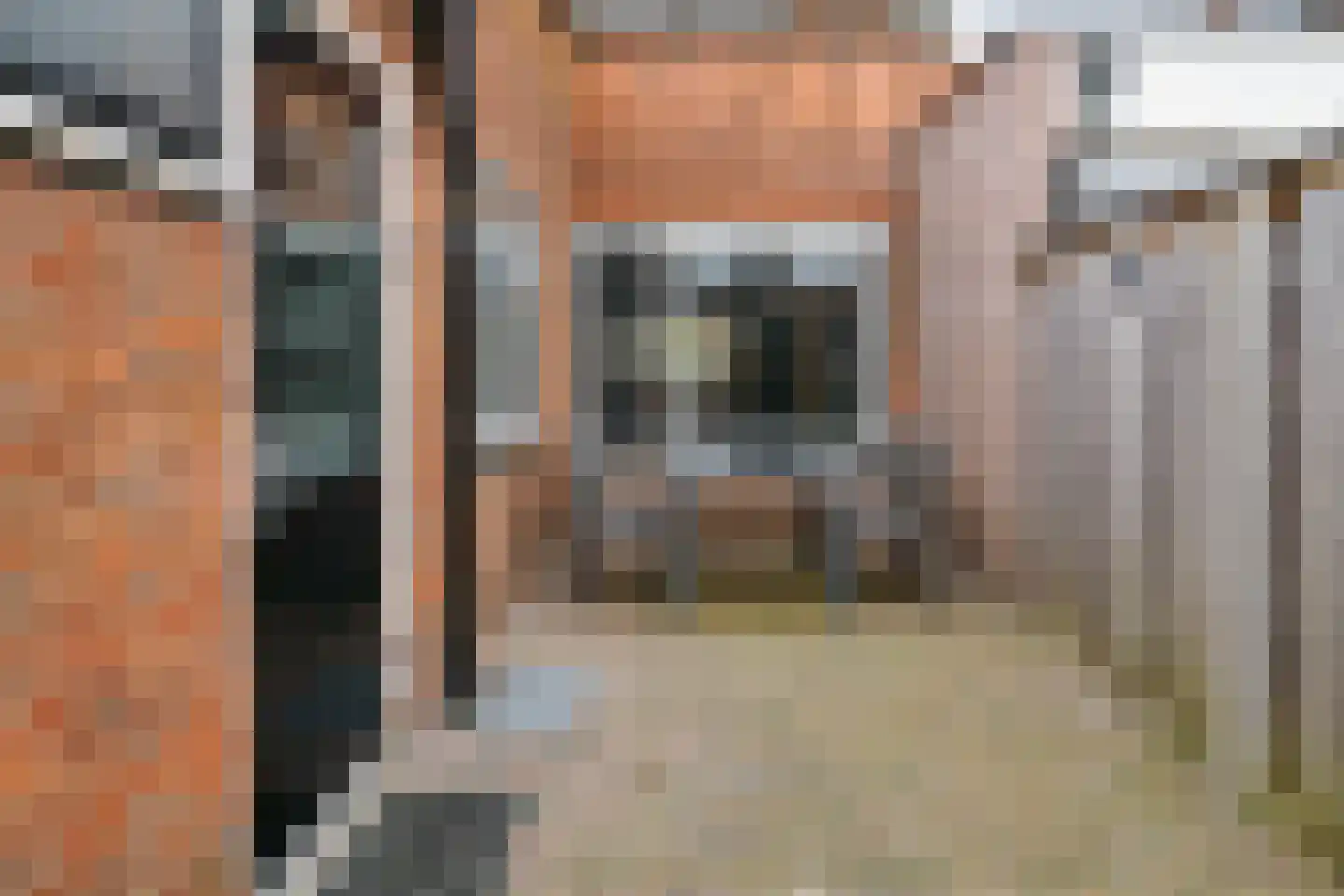 Sloetsweg 83 Hengelo thumbnail 21