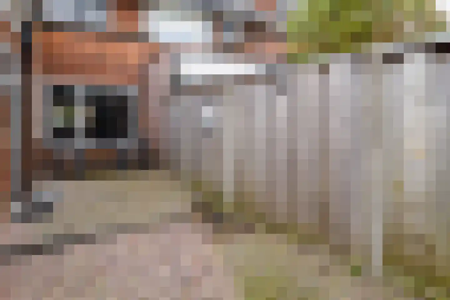 Sloetsweg 83 Hengelo thumbnail 23