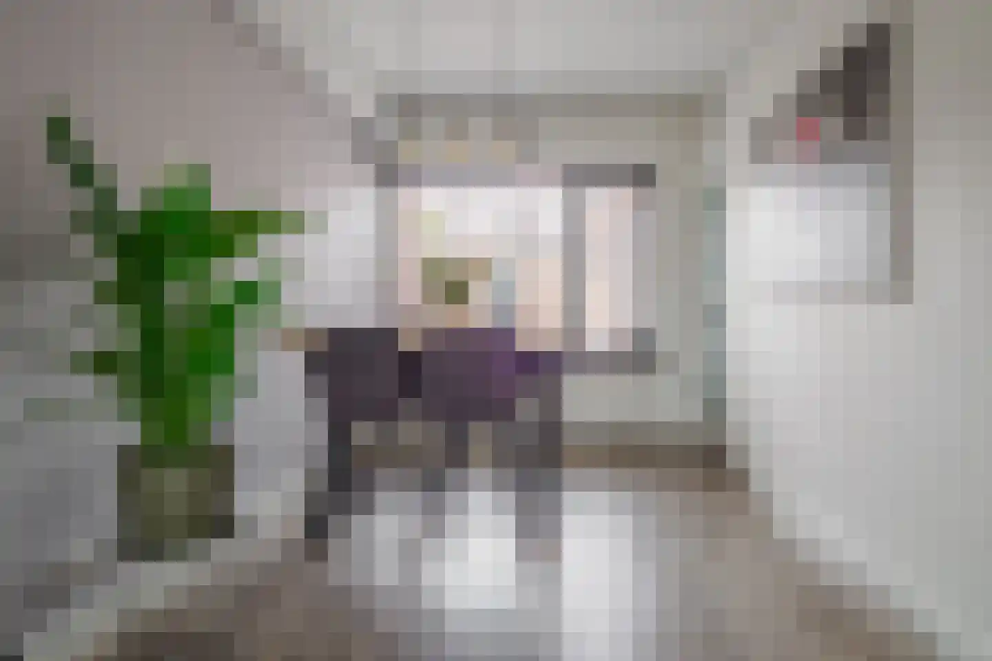 Sloetsweg 83 Hengelo thumbnail 7