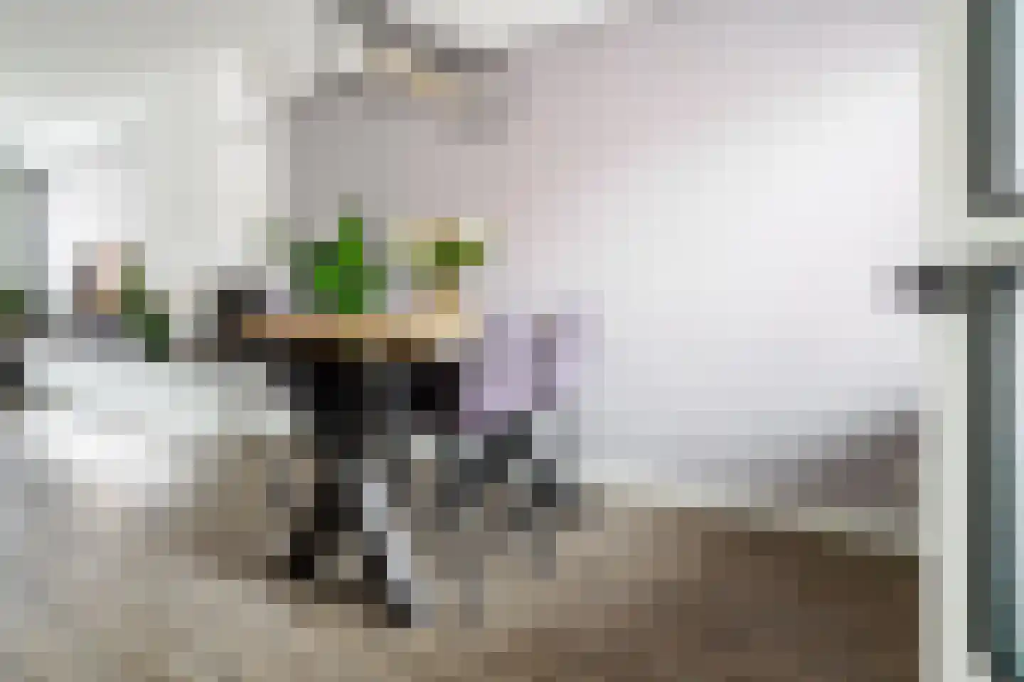 Sloetsweg 83 Hengelo thumbnail 9