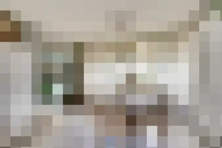 Sloetsweg 86 Hengelo thumbnail 14