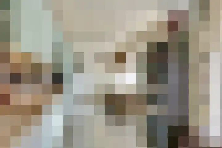 Sloetsweg 86 Hengelo thumbnail 16