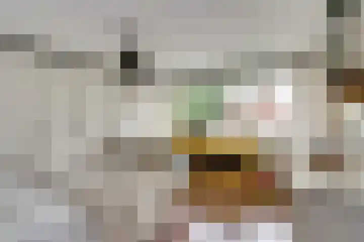 Sloetsweg 86 Hengelo thumbnail 24