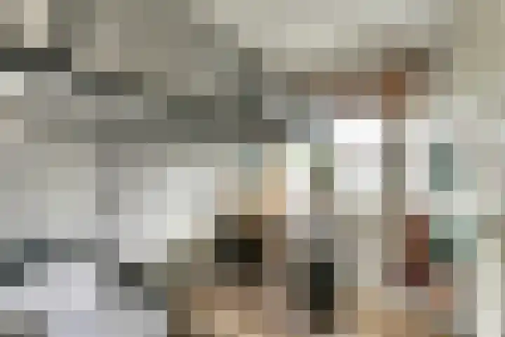 Sloetsweg 86 Hengelo thumbnail 25