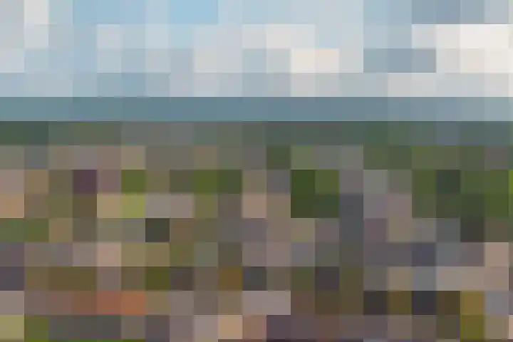 Sloetsweg 86 Hengelo thumbnail 38