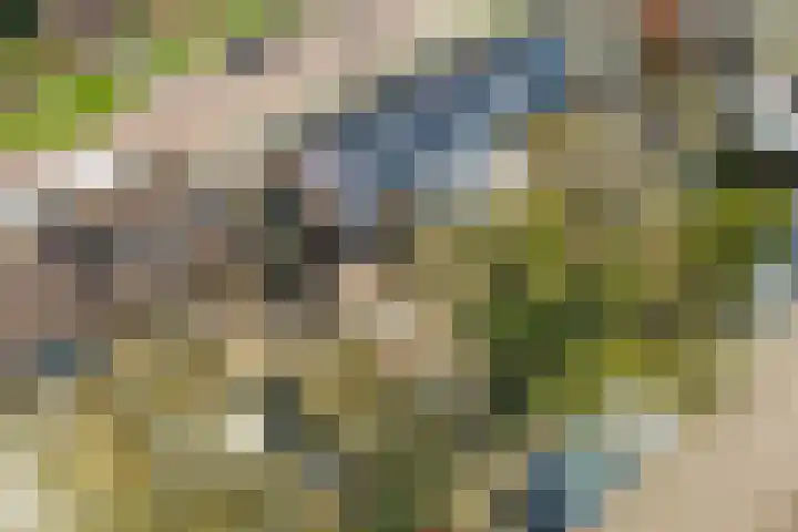 Sloodstraat 12 Hoogeveen thumbnail 33