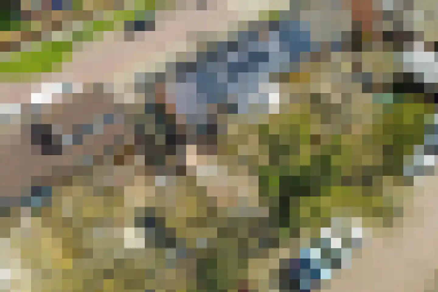 Sloodstraat 12 Hoogeveen thumbnail 33