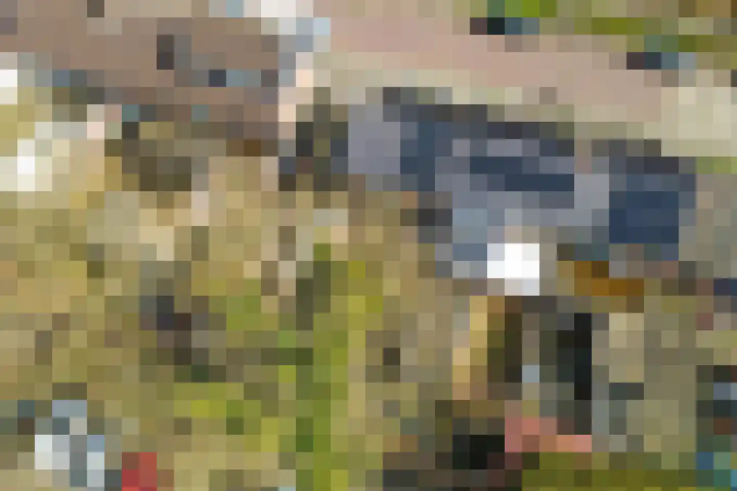 Sloodstraat 12 Hoogeveen thumbnail 35