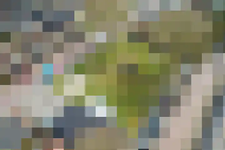 Sloodstraat 12 Hoogeveen thumbnail 37
