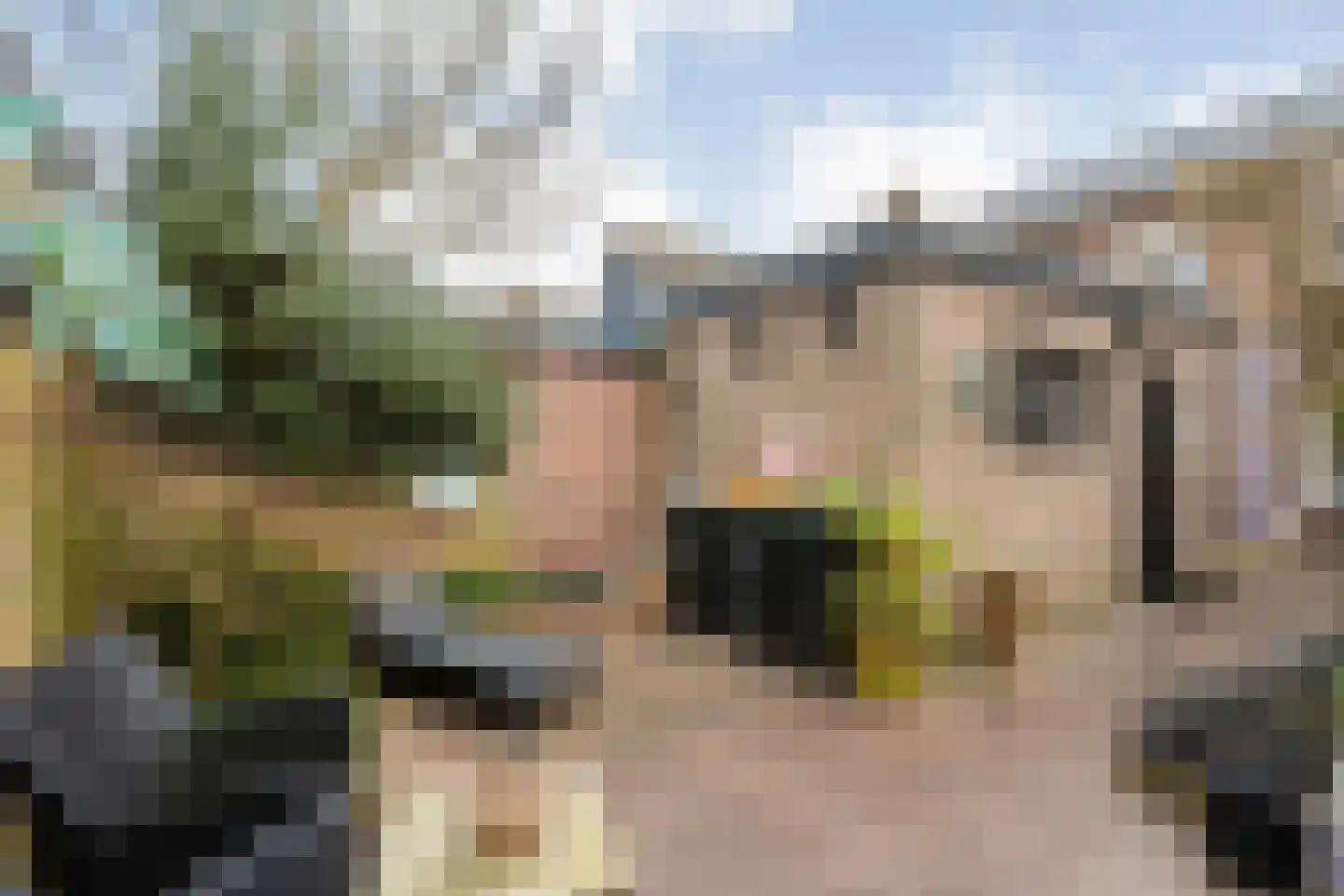 Sloodstraat 43 Hoogeveen thumbnail 29