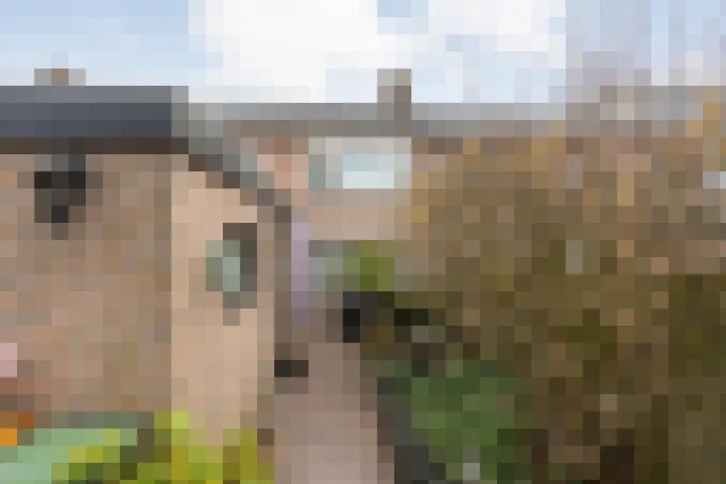 Sloodstraat 43 Hoogeveen thumbnail 30