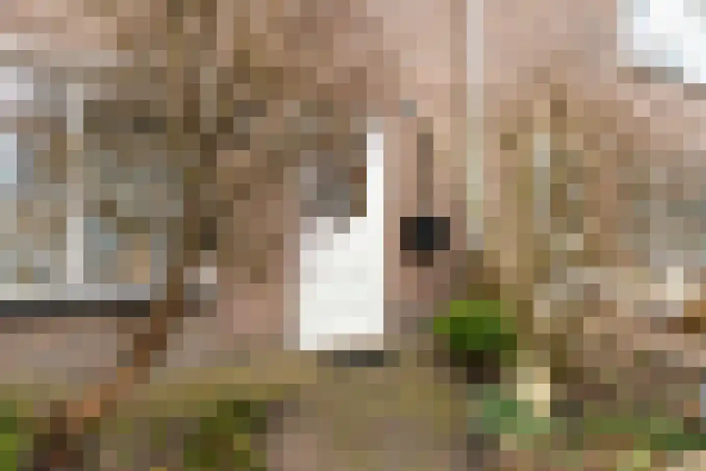 Sloodstraat 43 Hoogeveen thumbnail 31
