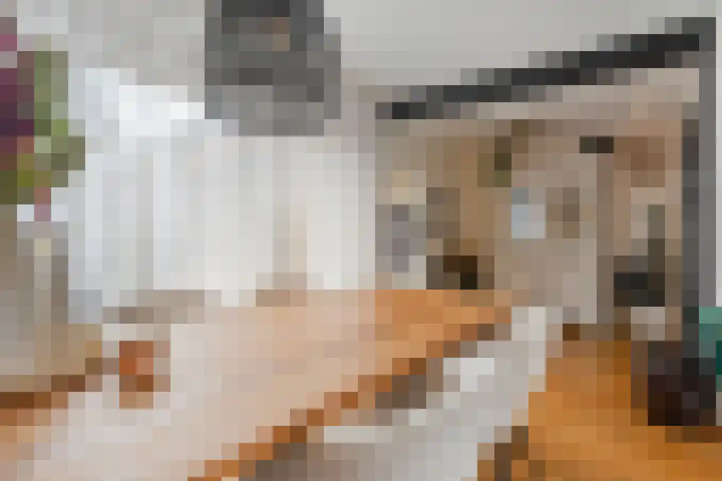 Sloodstraat 43 Hoogeveen thumbnail 6