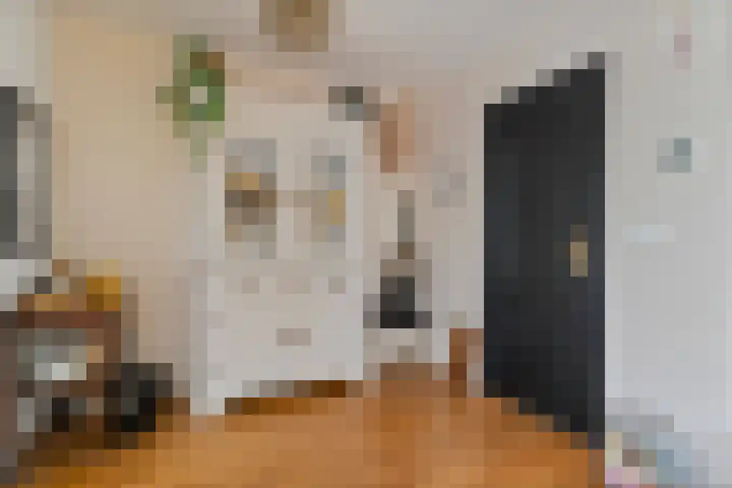 Sloodstraat 43 Hoogeveen thumbnail 7