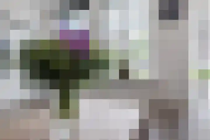 Slootakker 11 Beilen thumbnail 10