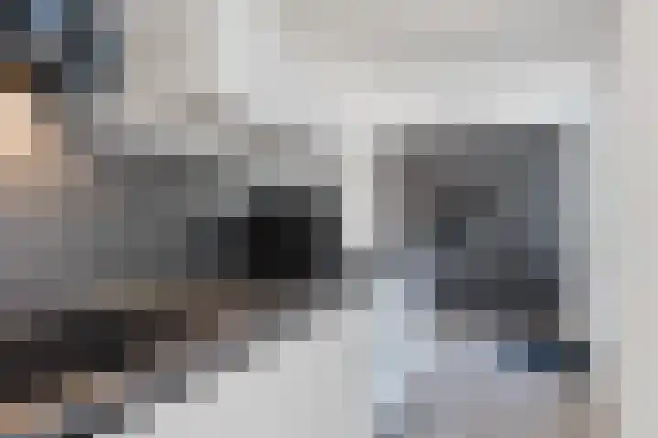 Slootakker 11 Beilen thumbnail 16