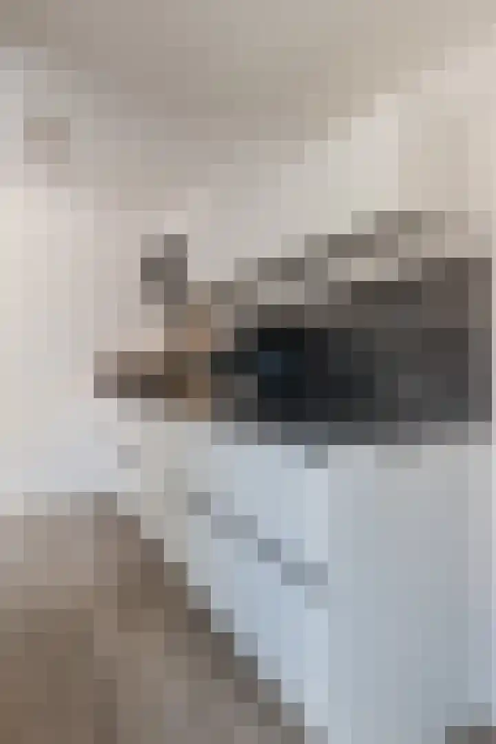 Slootakker 11 Beilen thumbnail 17