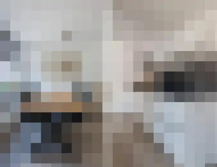 Slootakker 11 Beilen thumbnail 18