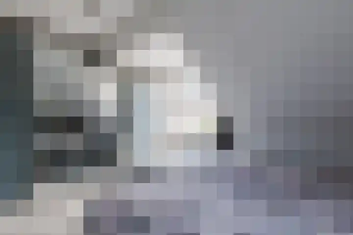 Slootakker 11 Beilen thumbnail 21