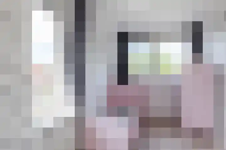 Slootakker 11 Beilen thumbnail 22