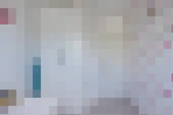 Slootakker 11 Beilen thumbnail 25
