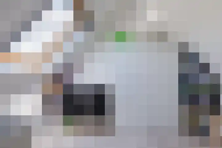 Slootakker 11 Beilen thumbnail 31