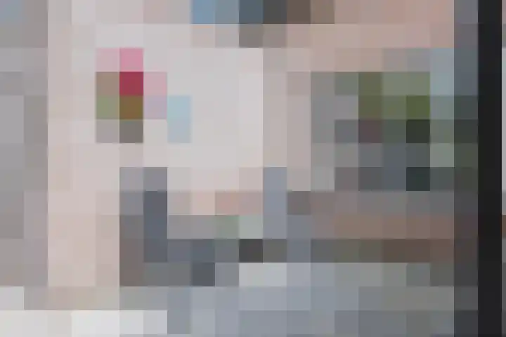 Slootakker 11 Beilen thumbnail 34