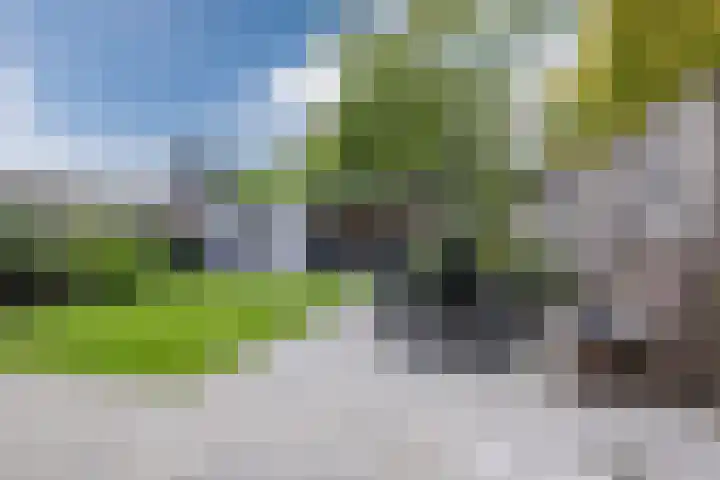 Slootakker 11 Beilen thumbnail 35