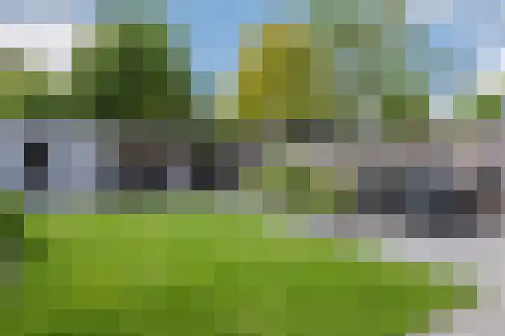 Slootakker 11 Beilen thumbnail 36
