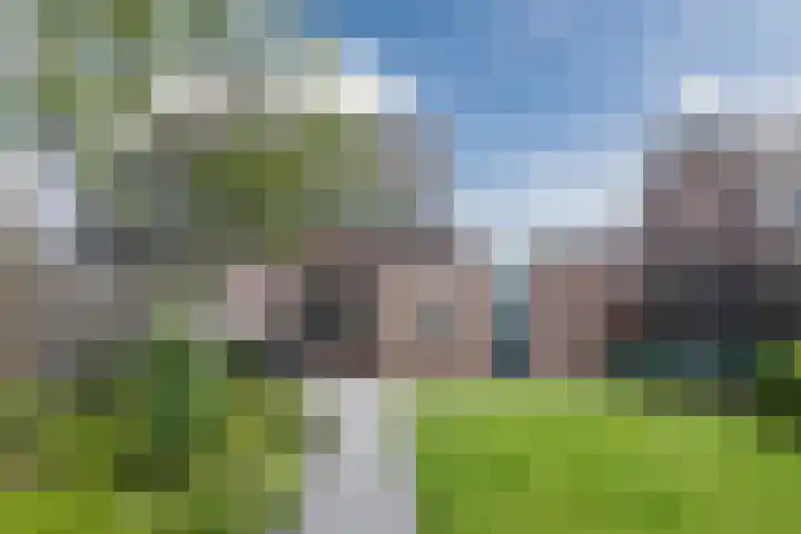 Slootakker 11 Beilen thumbnail 38