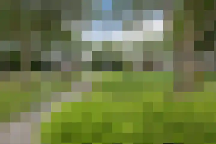 Slootakker 11 Beilen thumbnail 40