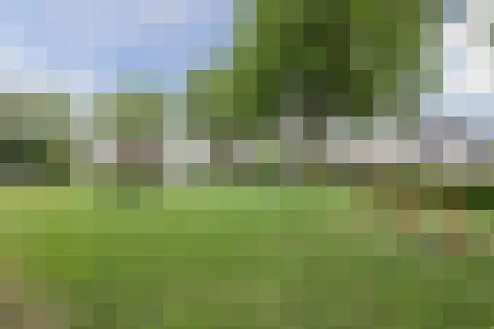 Slootakker 11 Beilen thumbnail 41
