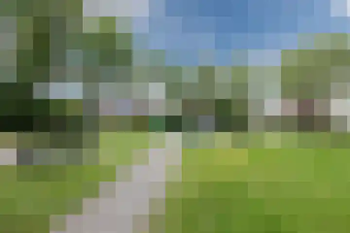 Slootakker 11 Beilen thumbnail 42