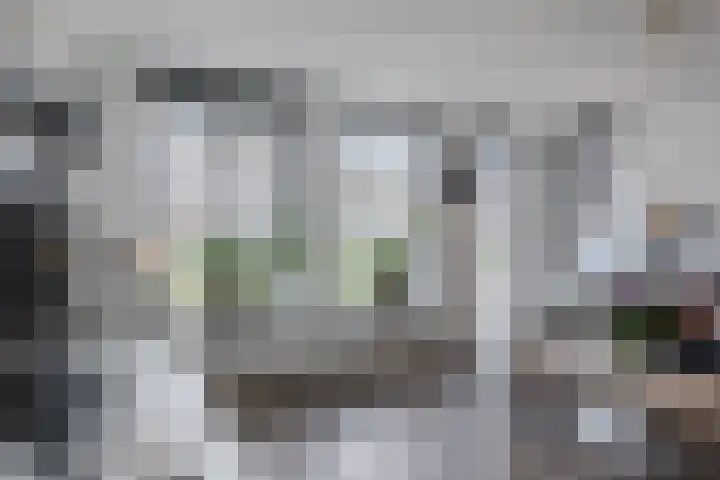 Slootakker 11 Beilen thumbnail 8