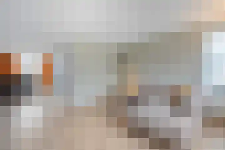 Slootakker 34 Beilen thumbnail 11