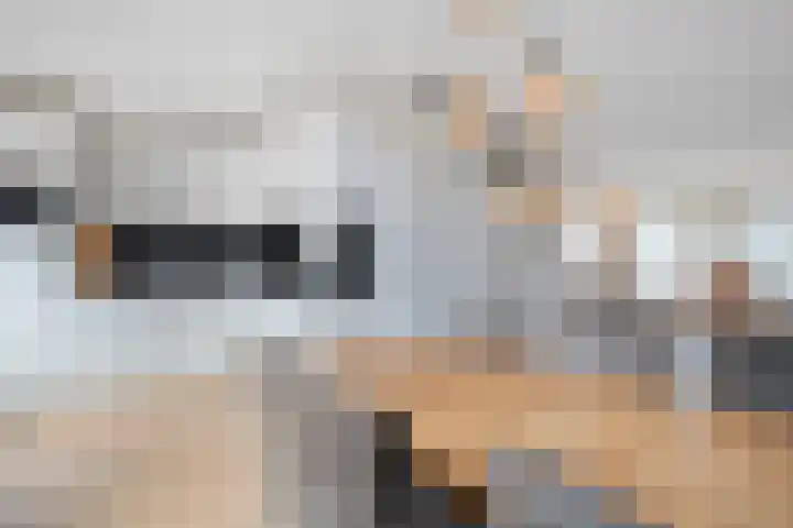 Slootakker 34 Beilen thumbnail 13