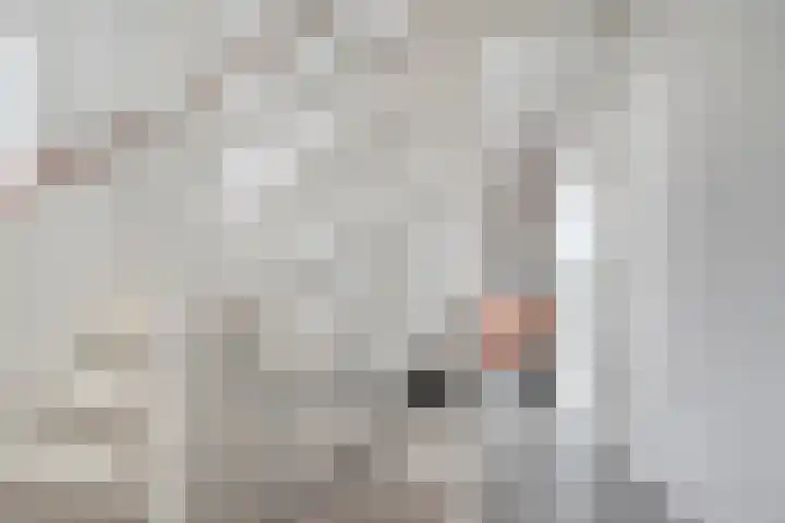 Slootakker 34 Beilen thumbnail 16