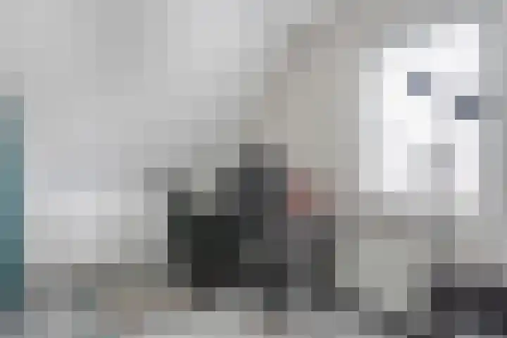 Slootakker 34 Beilen thumbnail 18
