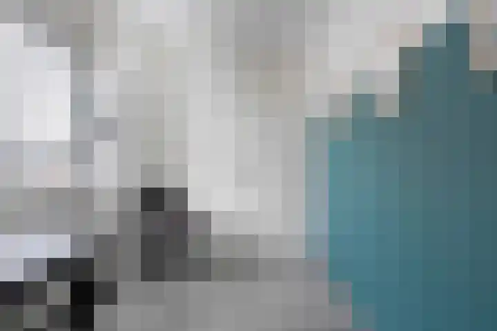 Slootakker 34 Beilen thumbnail 19