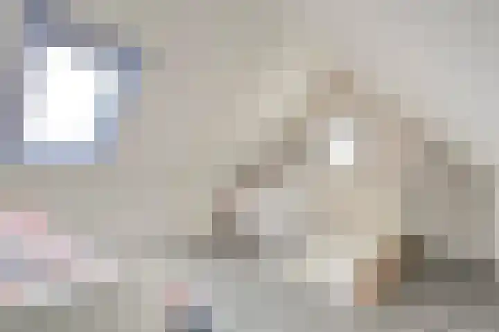 Slootakker 34 Beilen thumbnail 25