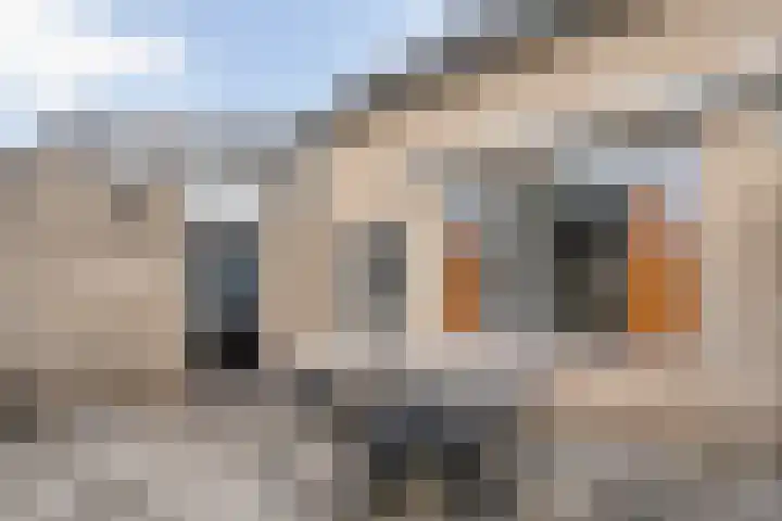 Slootakker 34 Beilen thumbnail 34