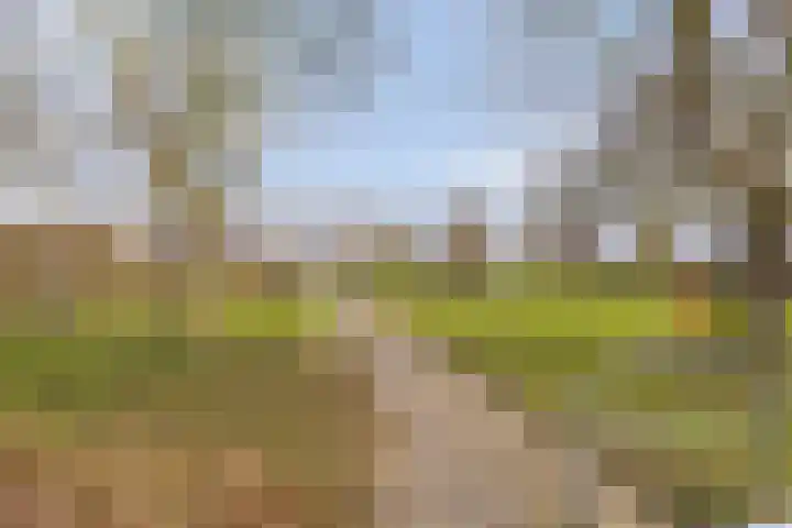 Slootakker 34 Beilen thumbnail 40