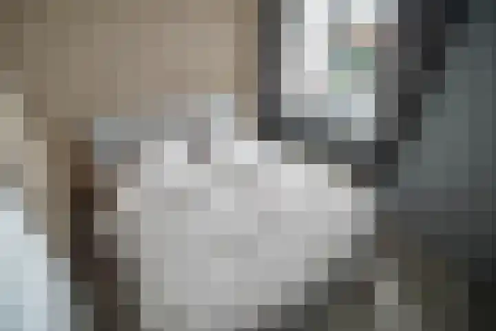 Slootdreef 235 Zoetermeer thumbnail 23